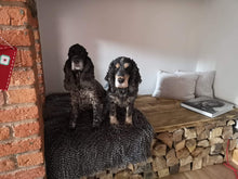 Load image into Gallery viewer, Rustic Table Top/ Seat